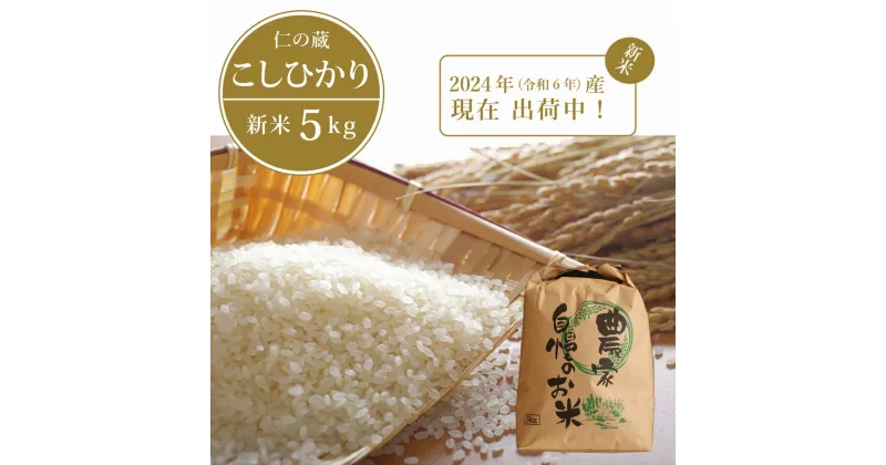 【ふるさと納税】令和6年産「信濃町産 こしひかり5kg」 新米をお届け【現在出荷中！】名水弘法清水が湧き出る黒姫山麓で育った仁の蔵のお米｜長野県信濃町