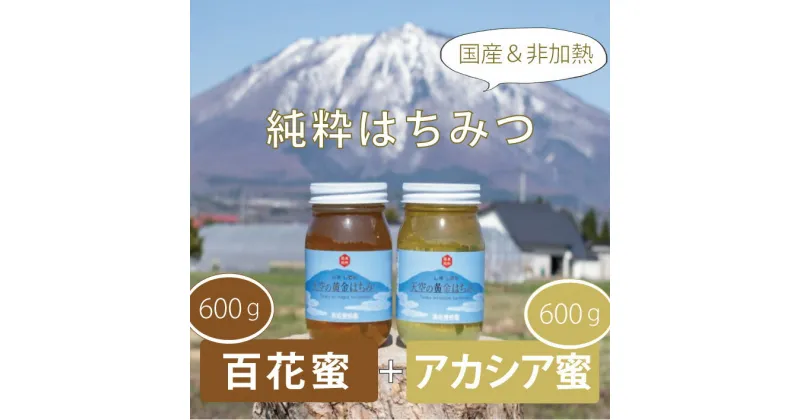 【ふるさと納税】天空の黄金はちみつ　600g×2瓶【数量限定】非加熱 国産 アカシア 百花蜜 ギフト