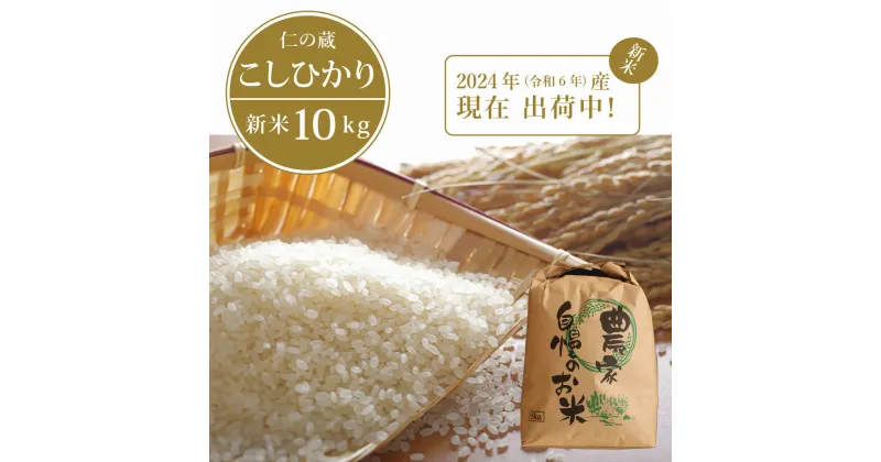 【ふるさと納税】令和6年産「信濃町産 こしひかり10kg」 新米をお届け【現在出荷中！】名水弘法清水が湧き出る黒姫山麓で育った仁の蔵のお米｜長野県信濃町