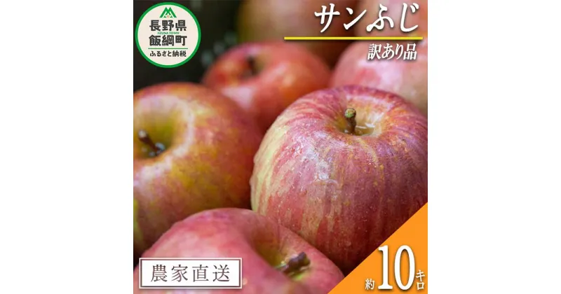 【ふるさと納税】 りんご サンふじ 訳あり 10kg 丸山りんご園 沖縄県への配送不可 令和6年度収穫分 長野県 飯綱町 〔 傷 不揃い リンゴ 林檎 果物 フルーツ 信州 長野 19000円 予約 農家直送 〕発送時期：2024年12月上旬～2024年12月下旬 {*}