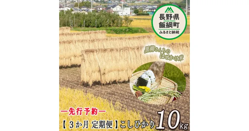 【ふるさと納税】 こしひかり 10kg × 3回 【 3カ月 定期便 】 ※沖縄および離島への配送不可 黒柳さんのはぜかけ米 長野県 飯綱町 【 米 新米 お米 精米 白米 信州 長野 はぜかけ米 】【令和6年度収穫分】発送：2024年11月上旬〜 [お届け3回 (***)]