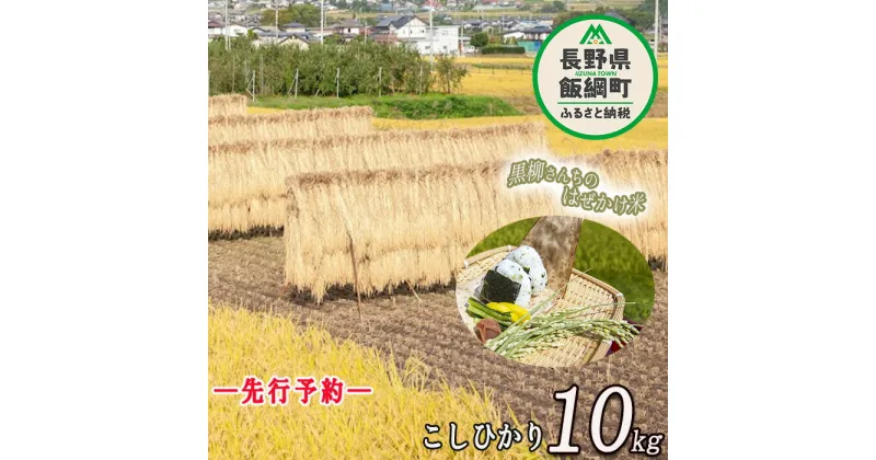 【ふるさと納税】 こしひかり 10kg ※沖縄および離島への配送不可 黒柳さんのはぜかけ米 長野県 飯綱町 【 米 新米 お米 精米 白米 信州 長野 はぜかけ米 】【令和6年度収穫分】発送：2024年11月上旬〜 [お届け1回 (***)]