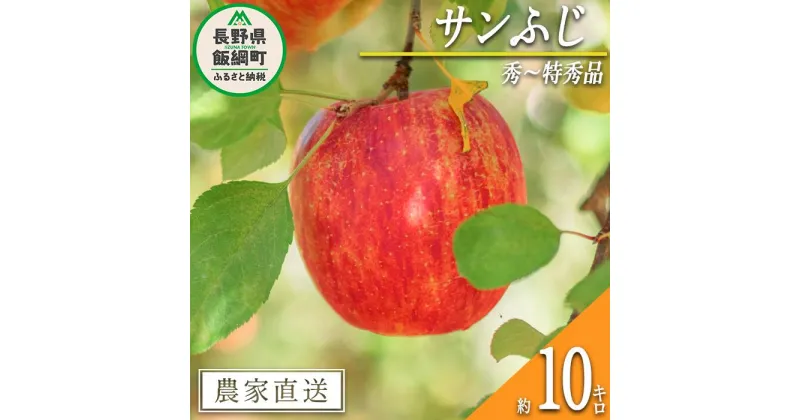 【ふるさと納税】 りんご サンふじ 秀 ～ 特秀 10kg 渡辺農園 令和6年度収穫分 エコファーマー認定 減農薬栽培 長野県 飯綱町 〔 信州 果物 フルーツ リンゴ 林檎 長野28000円 予約 農家直送 〕発送時期：2024年12月上旬～2025年1月中旬{***}