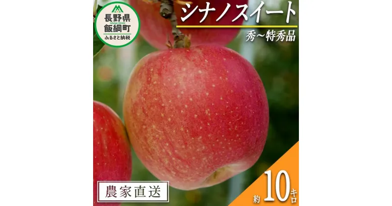 【ふるさと納税】 りんご シナノスイート 秀 ～ 特秀 10kg 渡辺農園 令和6年度収穫分 エコファーマー認定 減農薬栽培 長野県 飯綱町 〔 信州 果物 フルーツ リンゴ 林檎 長野 26000円 予約 農家直送 〕発送時期：2024年10月中旬～2024年11月上旬{**}