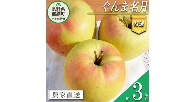 【ふるさと納税】 りんご ぐんま名月 特選 3kg やまじゅうファーム 沖縄県への配送不可 令和6年度収穫分 信州の環境にやさしい農産物 減農薬栽培 長野県 飯綱町 【 信州 果物 フルーツ リンゴ 林檎 長野 15000円 】発送時期：2024年11月下旬～2024年12月上旬{***}