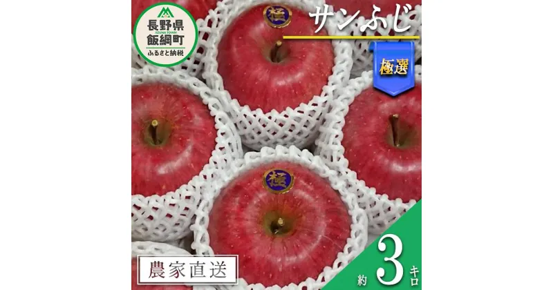 【ふるさと納税】 りんご サンふじ 極選 3kg やまじゅうファーム 沖縄県への配送不可 令和6年度収穫分 信州の環境にやさしい農産物 減農薬栽培 長野県 飯綱町 【 信州 果物 フルーツ リンゴ 林檎 長野 】発送時期：2024年12月上旬～2024年12月下旬