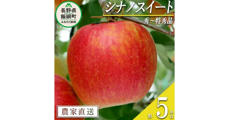 【ふるさと納税】 りんご シナノスイート 秀 ～ 特秀 5kg 松橋りんご園 沖縄県への配送不可 令和6年度収穫分 長野県 飯綱町 〔 信州 果物 フルーツ リンゴ 林檎 長野 16000円 予約 農家直送 〕発送時期：2024年10月上旬～2024年11月上旬 {***}