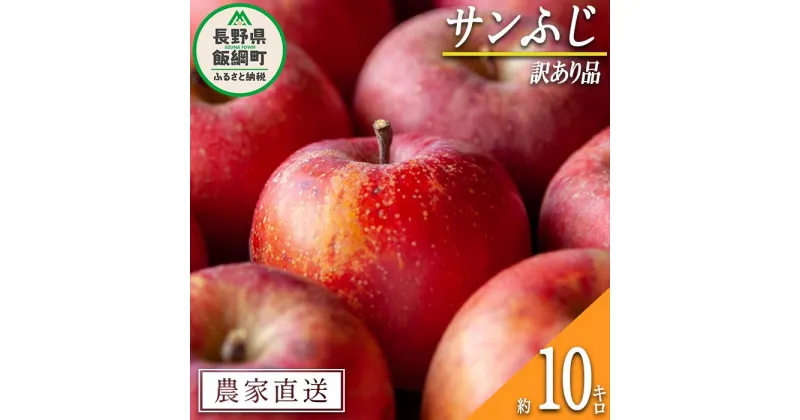 【ふるさと納税】 りんご サンふじ 訳あり 10kg 松橋りんご園 沖縄県への配送不可 令和6年度収穫分 長野県 飯綱町 【 傷 不揃い リンゴ 林檎 果物 フルーツ 19000円 信州 長野 】発送時期：2024年12月中旬～2025年3月上旬 {*}