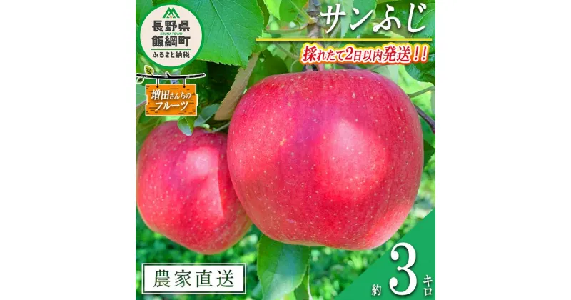 【ふるさと納税】 りんご サンふじ 家庭用 3kg 採れたてを発送 増田さんちのりんご 沖縄県への配送不可 令和6年度収穫分 長野県 飯綱町 〔 信州 果物 フルーツ リンゴ 林檎 長野 予約 農家直送 13000円 〕発送時期：2024年11月下旬～2024年12月上旬