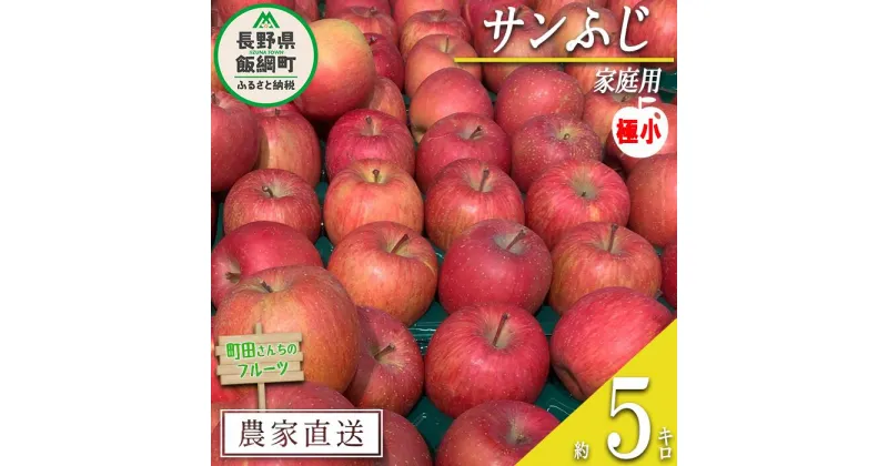 【ふるさと納税】 りんご サンふじ （ 極小 ） 家庭用 5kg 町田さんちのりんご 長野県 飯綱町 〔 リンゴ 林檎 果物 フルーツ 信州 長野 11000円 予約 農家直送 〕発送期間：2025年1月上旬～2025年2月上旬