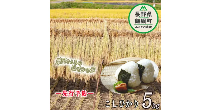 【ふるさと納税】 増田さんちの お米 こしひかり 5kg はぜかけ ※沖縄は配送不可 〔 米 新米 お米 精米 コシヒカリ 信州 長野県 白米 〕【令和6年度収穫分】発送：2024年11月上旬〜 [お届け1回 (**)]