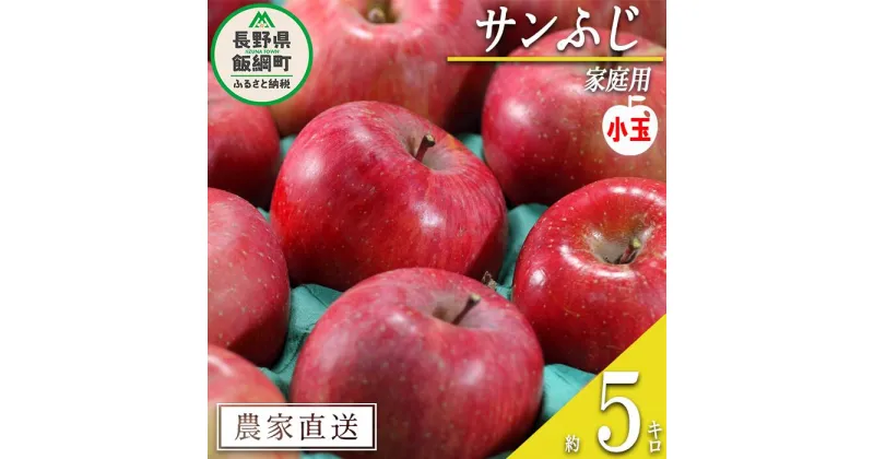 【ふるさと納税】 りんご サンふじ ( 小玉 ) 家庭用 5kg 松澤農園 沖縄県への配送不可 令和6年度収穫分 長野県 飯綱町 〔 信州 フルーツ 果物 リンゴ 林檎 長野 11000円 予約 農家直送 〕発送時期：2024年11月下旬～2025年2月上旬 {**}