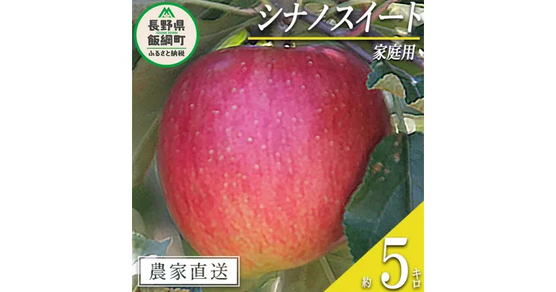 【ふるさと納税】 りんご シナノスイート 家庭用 5kg 永正の地蔵尊神谷農園 沖縄県への配送不可 令和6年度収穫分 長野県 飯綱町 〔 信州 果物 フルーツ リンゴ 林檎 長野 12000円 予約 農家直送 〕発送時期：2024年10月上旬～2024年12月上旬 {**}