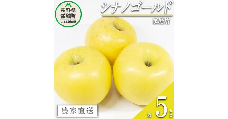 【ふるさと納税】 りんご シナノゴールド 家庭用 5kg 松橋りんご園 沖縄県への配送不可 令和6年度収穫分 長野県 飯綱町 〔 信州 果物 フルーツ リンゴ 林檎 長野 12000円 予約 農家直送 〕発送時期：2024年11月上旬～2024年12月中旬 {**}