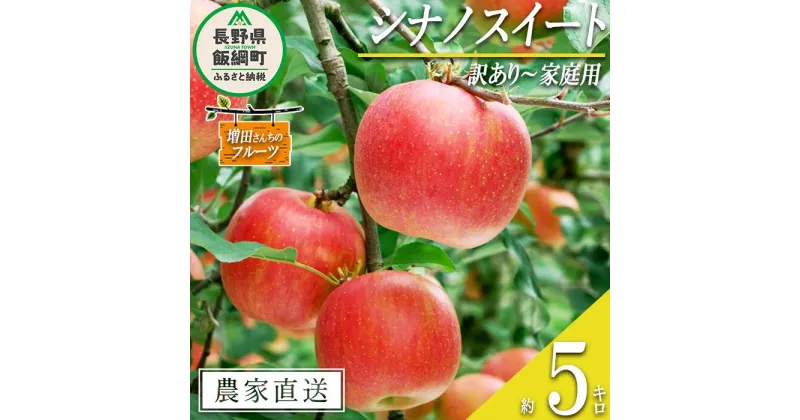 【ふるさと納税】 りんご シナノスイート 訳あり 5kg 増田さんちのりんご 沖縄県への配送不可 令和6年度収穫分 長野県 飯綱町 〔 信州 果物 フルーツ リンゴ 林檎 長野 予約 農家直送 13000円 〕発送時期：2024年10月上旬～2024年11月上旬