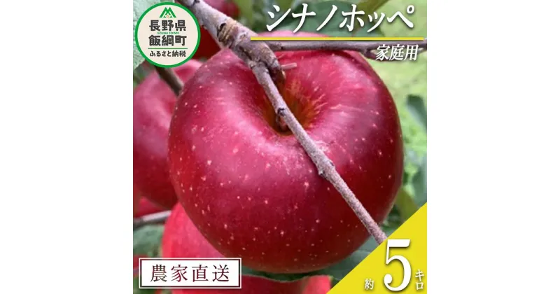 【ふるさと納税】 りんご シナノホッペ 家庭用 5kg ファームトヤ 沖縄県への配送不可 令和6年度収穫分 長野県 飯綱町 〔 信州 果物 フルーツ リンゴ 林檎 長野 15000円 予約 農家直送 〕発送時期：2024年11月上旬～2024年11月下旬 {**}