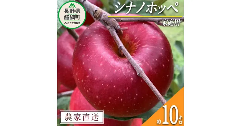 【ふるさと納税】 りんご シナノホッペ 家庭用 10kg ファームトヤ 沖縄県への配送不可 令和6年度収穫分 長野県 飯綱町 〔 信州 果物 フルーツ リンゴ 林檎 長野 予約 農家直送 〕発送時期：2024年11月上旬～2024年11月下旬 {**}