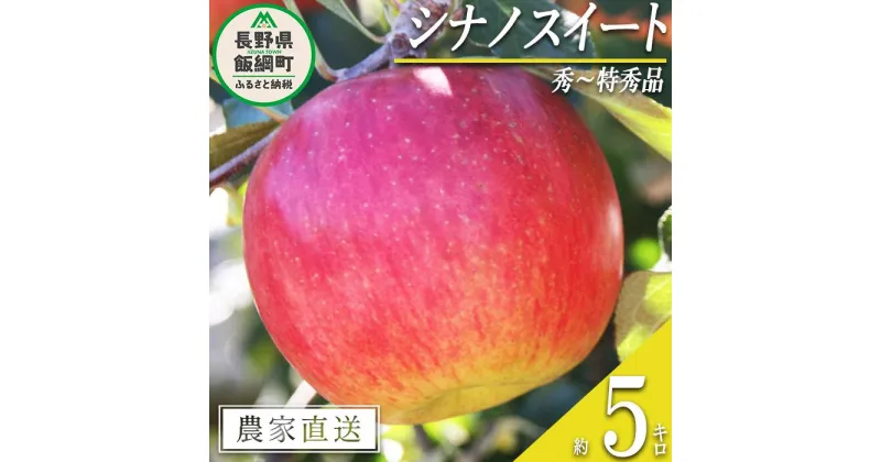 【ふるさと納税】 りんご シナノスイート 秀 ～ 特秀 5kg マルカズりんご農園 沖縄県への配送不可 令和6年度収穫分 長野県 飯綱町 〔 信州 果物 フルーツ リンゴ 林檎 長野 16000円 予約 農家直送 〕発送時期：2024年10月中旬～2024年11月上旬