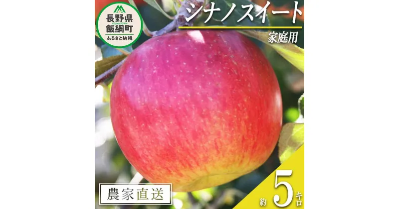 【ふるさと納税】 りんご シナノスイート 家庭用 5kg マルカズりんご農園 沖縄県への配送不可 令和6年度収穫分 長野県 飯綱町 〔 信州 果物 フルーツ リンゴ 林檎 長野 11000円 予約 農家直送 〕発送時期：2024年10月中旬～2024年11月上旬