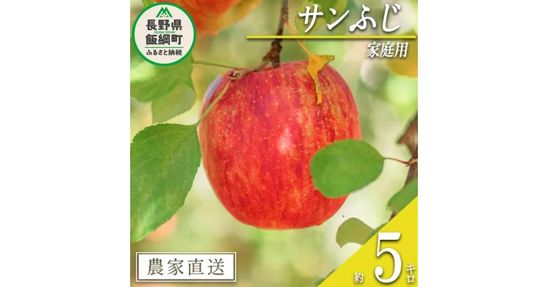 【ふるさと納税】 りんご サンふじ 家庭用 5kg 渡辺農園 沖縄県への配送不可 令和6年度収穫分 エコファーマー認定 減農薬栽培 長野県 飯綱町 〔 信州 果物 フルーツ リンゴ 林檎 長野 12000円 予約 農家直送 〕発送時期：2024年12月上旬～2025年1月中旬 {**}