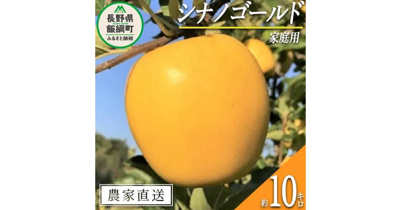 【ふるさと納税】 りんご シナノゴールド 家庭用 10kg ファームトヤ 沖縄県への配送不可 令和6年度収穫分 長野県 飯綱町 〔 信州 果物 フルーツ リンゴ 林檎 長野 予約 農家直送 〕発送時期：2024年11月中旬～2024年12月下旬 {**}