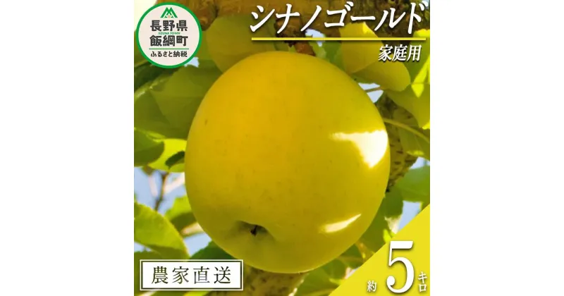 【ふるさと納税】 りんご シナノゴールド 家庭用 5kg 永正の地蔵尊神谷農園 沖縄県への配送不可 令和6年度収穫分 長野県 飯綱町 〔 信州 果物 フルーツ リンゴ 林檎 長野 12000円 予約 農家直送 〕発送時期：2024年11月中旬～2024年12月下旬 {**}