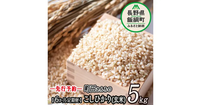 【ふるさと納税】 こしひかり （ 玄米 ） 5kg × 6回 【 6カ月 定期便 】 ※沖縄および離島への配送不可 町田さんちの玄米 長野県 飯綱町 【 コシヒカリ 新米 米 お米 信州 五キロ 】【令和6年度収穫分】発送：2024年10月上旬〜 [お届け6回 (**)]