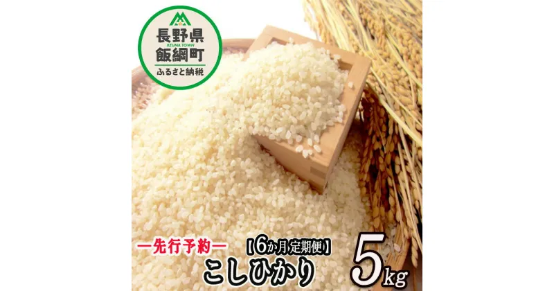 【ふるさと納税】信州 飯綱町産 こしひかり 5kg × 6回 【 6カ月 定期便 】 米澤商店 【 米 新米 お米 精米 コシヒカリ 信州 長野 白米 】【令和6年度収穫分】発送：2024年10月上旬〜 [お届け6回 (**)]