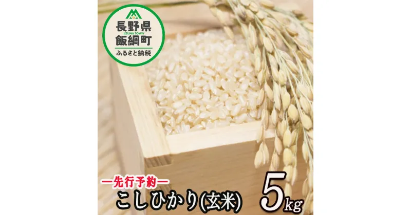 【ふるさと納税】信州 飯綱町産 こしひかり （ 玄米 ） 5kg 米澤商店 【 米 新米 お米 玄米 コシヒカリ 信州 長野 】【令和6年度収穫分】発送：2024年10月上旬〜 [お届け1回 (**)]