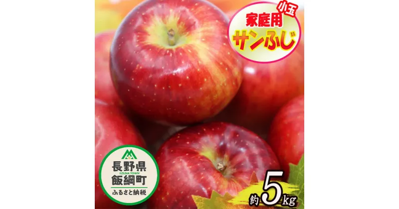 【ふるさと納税】【令和6年度収穫分】小ささに訳あり サンふじ（小玉）家庭用5kg　※沖縄および離島への配送不可　※2024年12月中旬頃から順次発送予定　大友農場　エコファーマー認定　長野県飯綱町