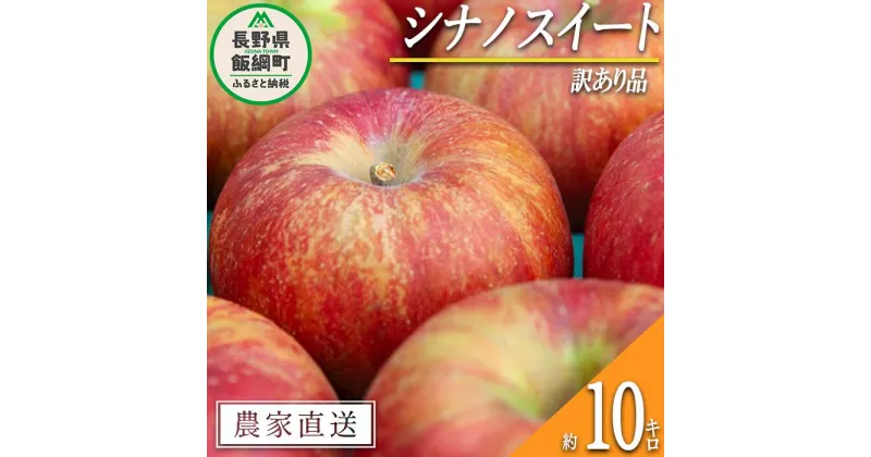 【ふるさと納税】 りんご シナノスイート 訳あり 10kg マルカズりんご農園 沖縄県への配送不可 令和6年度収穫分 長野県 飯綱町 〔 傷 不揃い リンゴ 林檎 果物 フルーツ 信州 長野 17000円 予約 農家直送 〕発送時期：2024年10月上旬～2024年11月上旬