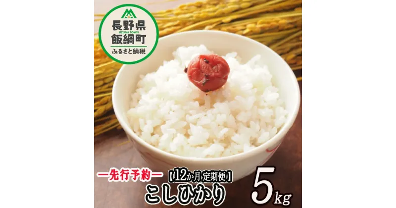 【ふるさと納税】 コシヒカリ （ 白米 ） 5kg × 12回 【 12カ月 定期便 】 ヤマハチ農園 長野県 飯綱町 【 米 新米 精米 信州 長野 信州 こしひかり 】※沖縄および離島への配送不可 【令和6年度収穫分】発送：2024年11月上旬〜 [お届け12回 (**)]