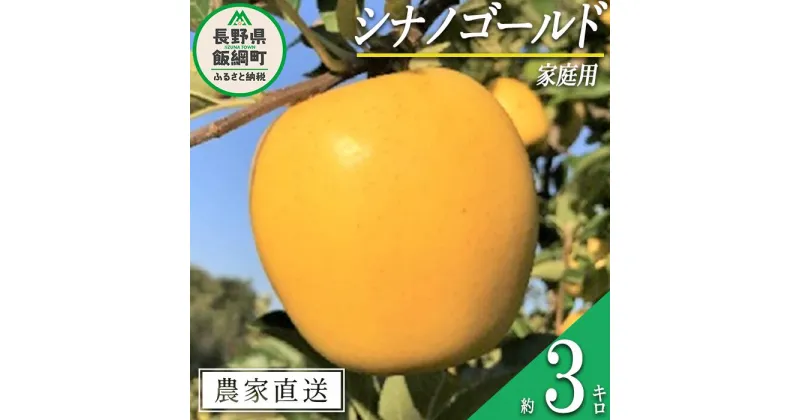 【ふるさと納税】 りんご シナノゴールド 家庭用 3kg ファームトヤ 沖縄県への配送不可 令和6年度収穫分 長野県 飯綱町 〔 信州 果物 フルーツ リンゴ 林檎 長野 11000円 予約 農家直送 〕発送時期：2024年11月中旬～2024年12月下旬 {**}