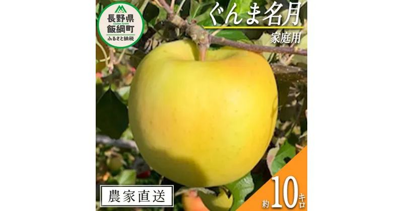 【ふるさと納税】 りんご ぐんま名月 家庭用 10kg ファームトヤ 沖縄県への配送不可 令和6年度収穫分 長野県 飯綱町 〔 信州 果物 フルーツ リンゴ 林檎 名月 長野 予約 農家直送 〕発送時期：2024年11月中旬～2024年12月下旬 {**}