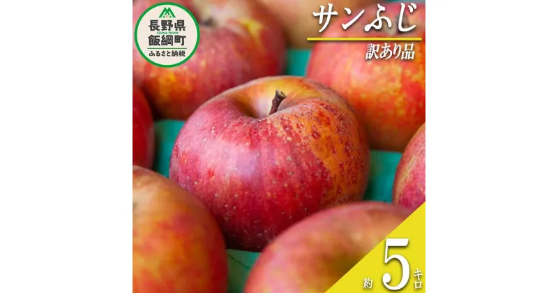 【ふるさと納税】 りんご 長野県 飯綱町サンふじ 訳あり 5kg 果物 リンゴ 林檎 くだもの フルーツ わけあり 傷 傷あり 不揃い 家庭用 長野 12月 1月 2月 14000円 ふるさと振興公社 発送期間：2024年12月上旬～2025年2月下旬 沖縄県への配送不可 {*}