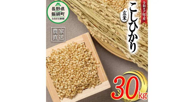 【ふるさと納税】 米 こしひかり ( 玄米 ) 30kg ( 令和5年産 ) ヤマハチ農園 長野県 飯綱町 〔 コシヒカリ 玄米 お米 信州 41500円 予約 農家直送 〕発送時期：2023年11月上旬～ [お届け1回 (****)]