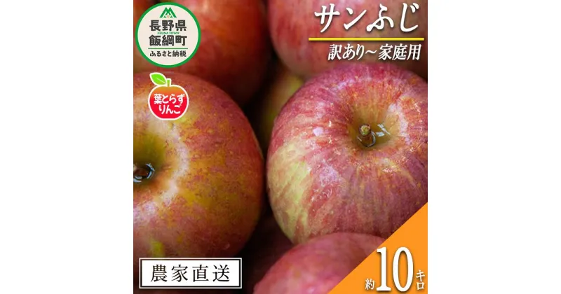 【ふるさと納税】 りんご 葉とらず サンふじ 訳あり 10kg フレッシュフルーツミカズキ 令和6年度収穫分 長野県 飯綱町 〔 傷 不揃い リンゴ 林檎 果物 フルーツ 信州 長野 予約 農家直送 〕発送時期：2024年11月中旬～2025年1月下旬 {*}