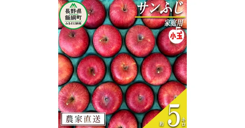 【ふるさと納税】 りんご 蜜入り サンふじ 家庭用 ( 小玉 ) 5kg サイズおまかせ 井澤農園 沖縄県配送不可 令和6年度収穫分 エコファーマー認定 長野県 飯綱町 〔 信州 果物 フルーツ リンゴ 林檎 長野 13000円 予約 農家直送 〕発送時期：2024年12月中旬～2025年1月下旬 {**}