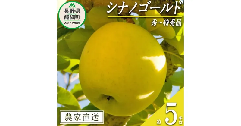 【ふるさと納税】 りんご シナノゴールド 秀 ～ 特秀 5kg 永正の地蔵尊神谷農園 沖縄県への配送不可 令和6年度収穫分 長野県 飯綱町 〔 信州 果物 フルーツ リンゴ 林檎 長野 16000円 予約 農家直送 〕発送時期：2024年11月中旬～2024年12月下旬 {***}