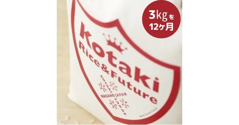 【ふるさと納税】希少米コタキホワイト 3kgを毎月お届けします！(計12回)（令和6年産）