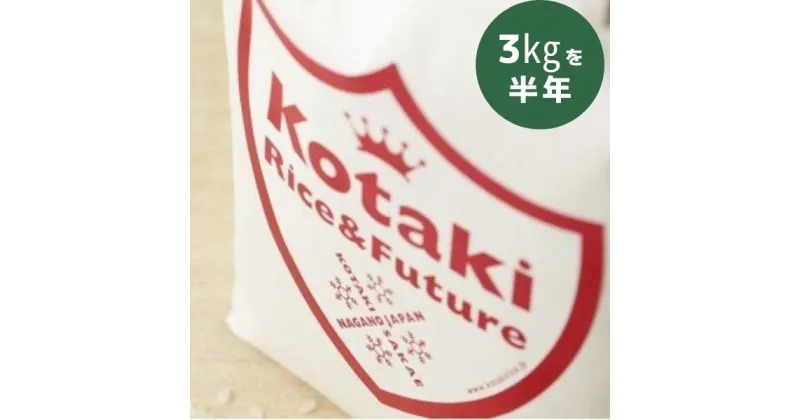 【ふるさと納税】希少米コタキホワイト3kgを毎月お届けします！(計6回)（令和6年産）