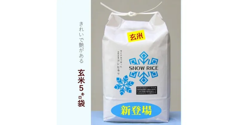 【ふるさと納税】減農薬コシヒカリSNOW RICE玄米5kg（令和6年産）