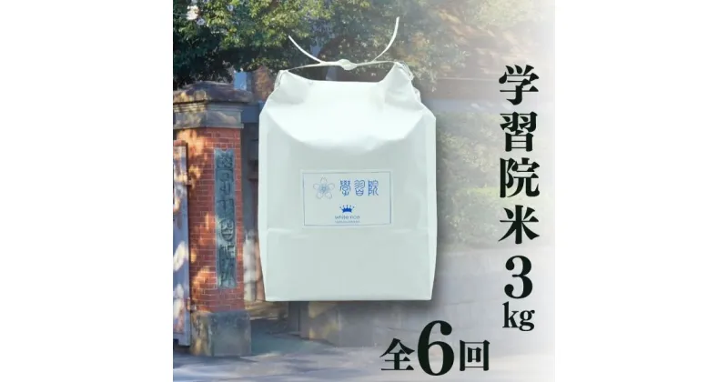 【ふるさと納税】学習院米 定期便 3kg×全6回（令和6年産）