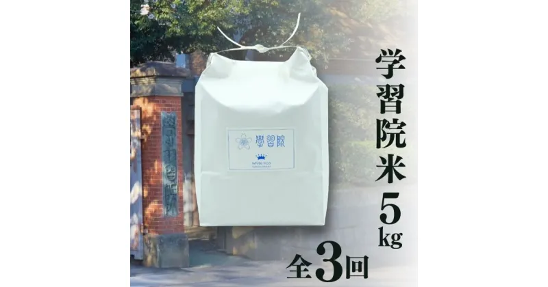 【ふるさと納税】学習院米 定期便 5kg×全3回（令和6年産）