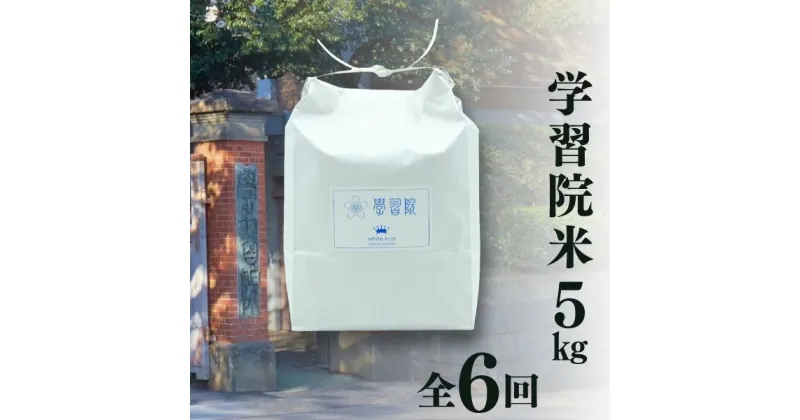 【ふるさと納税】学習院米 定期便 5kg×全6回