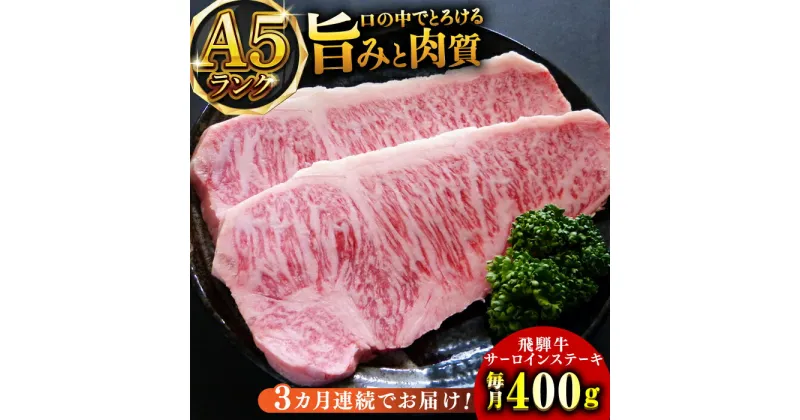 【ふるさと納税】【3回定期便】A5等級飛騨牛サーロインステーキ用400g 和牛 BBQ 霜降り 岐阜市/小川ミート[ANAJ004]