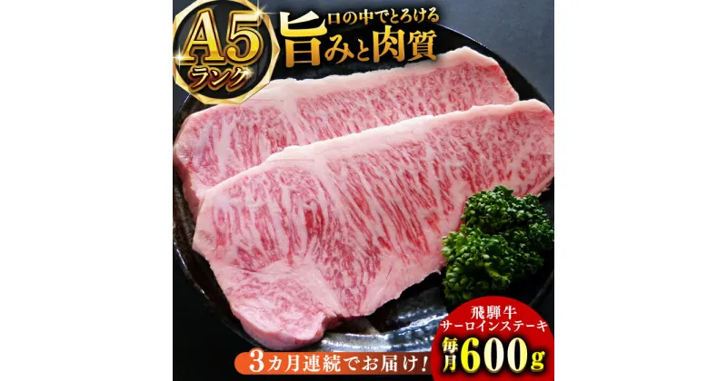 【ふるさと納税】【3回定期便】A5等級飛騨牛サーロインステーキ用600g 和牛 BBQ 霜降り 岐阜市/小川ミート[ANAJ007]