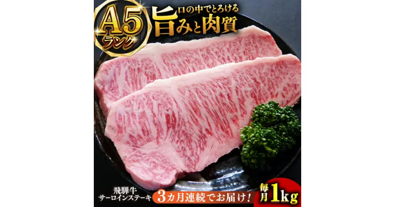 【ふるさと納税】【3回定期便】A5等級飛騨牛サーロインステーキ用1kg 和牛 BBQ 霜降り 岐阜市/小川ミート[ANAJ010]