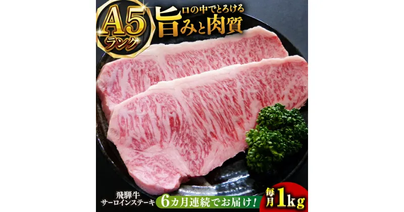 【ふるさと納税】【6回定期便】A5等級飛騨牛サーロインステーキ用1kg 和牛 BBQ 霜降り 岐阜市/小川ミート[ANAJ011]