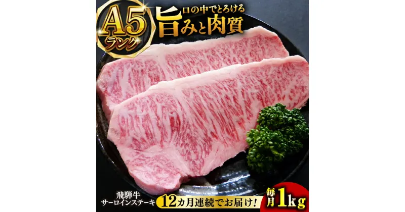 【ふるさと納税】【12回定期便】A5等級飛騨牛サーロインステーキ用1kg 和牛 BBQ 霜降り 岐阜市/小川ミート[ANAJ012]